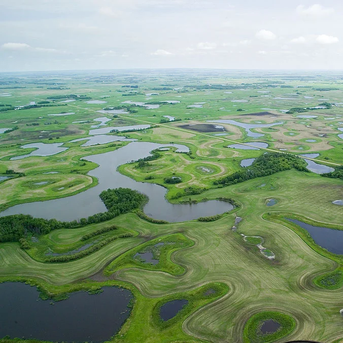 Saskatchewan wetland